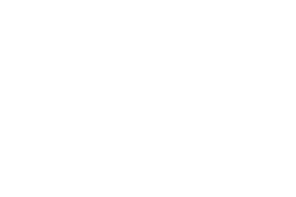 Gin School